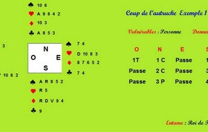 68dd64b600933_coupdelautruche800.jpg