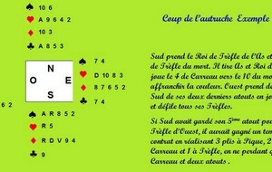 68dd64c9c27f9_solutioncoupdelautruche800.jpg