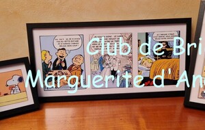 Un cadre de planches parues dans Bridge Mix.
Une BD de Peanuts où les amis de Snoopy jouent au bridge.
Snoopy et Woodstock qui jouent aux cartes ensemble.
Woodstock qui offre une fleur (une marguerite) à Snoopy.