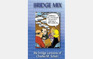 Compilation de panneaux de BD Bridge