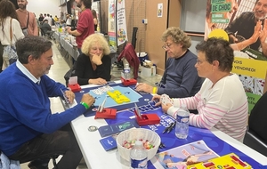 6ade3302d823b_SalondejeuBernard.jpg